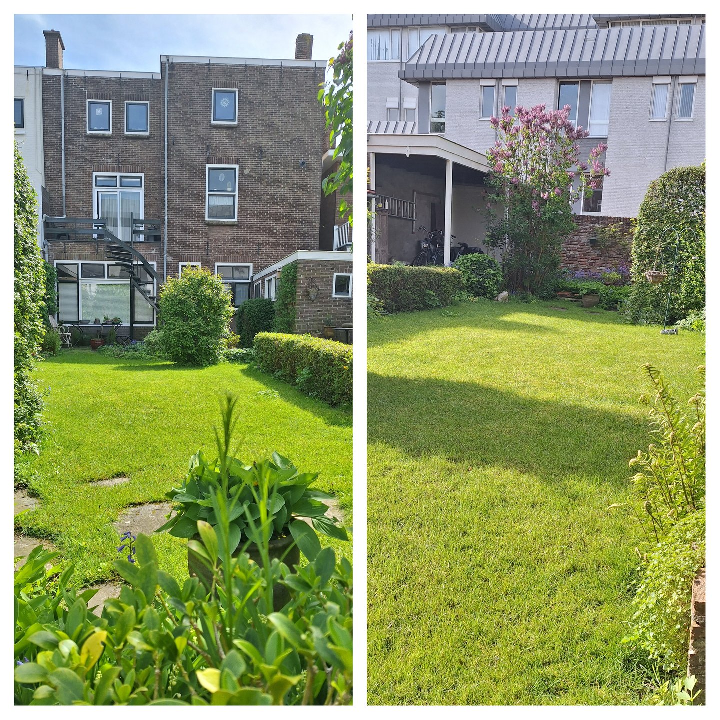 tuin